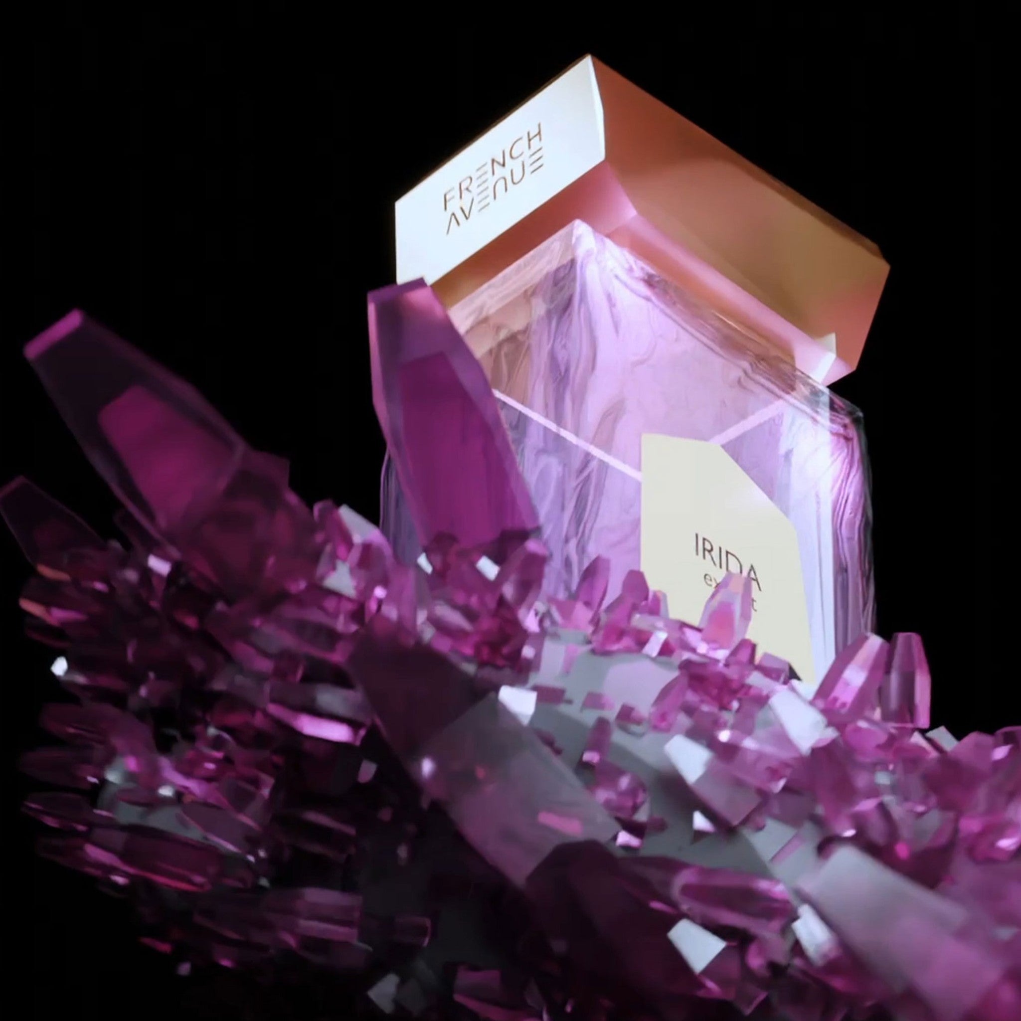 Irida — French Avenue — Extrait — 100ml — Bărbați